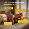 Sweet Spot Pillow