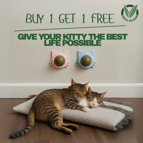 Kitty Therapy Ball™