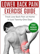Back Pain Guide Book