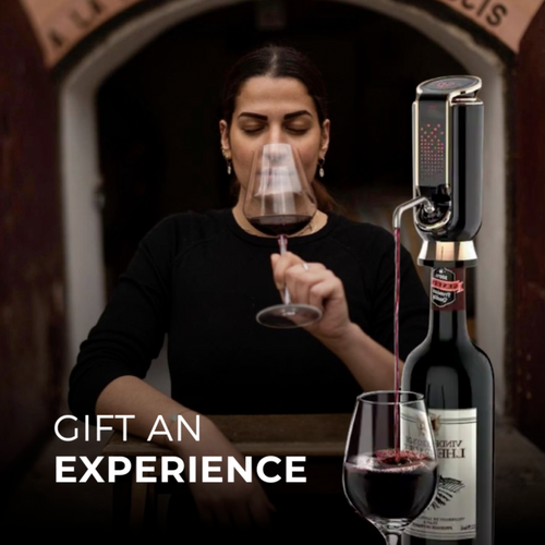 Loomera Wine Aerator, Preserver & Dispenser